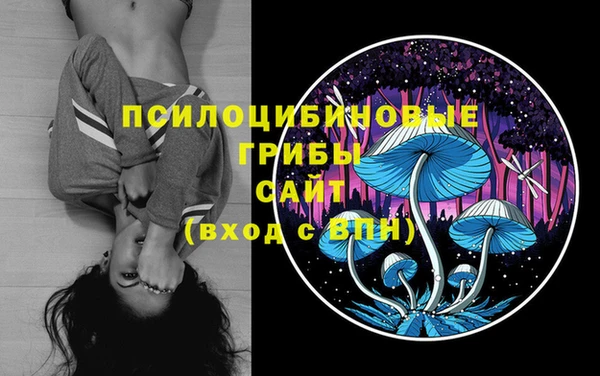 прущая мука Зеленокумск