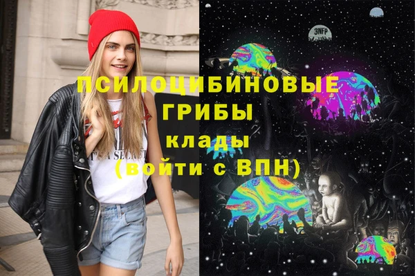 прущая мука Зеленокумск