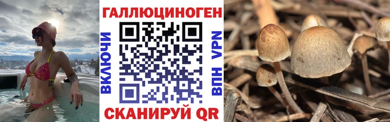 Галлюциногенные грибы ЛСД  Купить закладки  Калач 