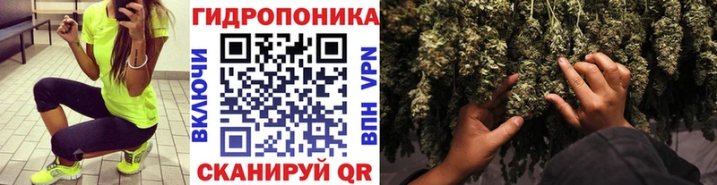 Бошки Шишки марихуана  Купить где  Калач 